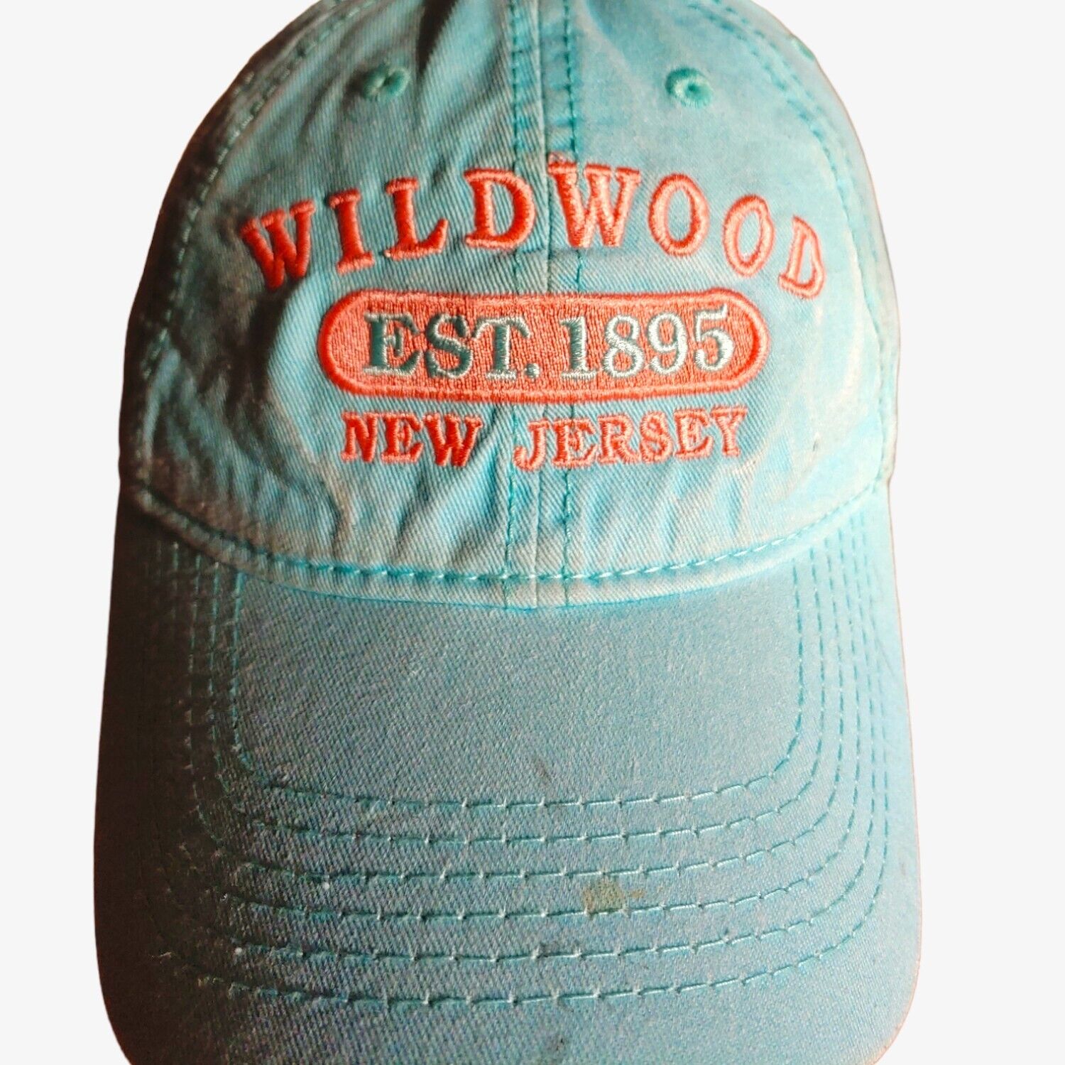 Vintage Y2K Wildwood New Jersey Blue & Pink Cap Logo - Casspios Dream